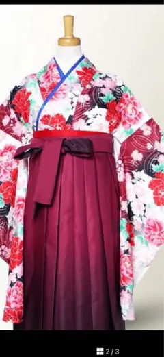 二尺袖 着物袴フルセット 朱赤色 仕立て上がり 綸子地 フリーサイズ 袴