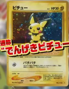 2025年最新】ピチュー でんげきの人気アイテム - メルカリ