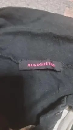 ALGONQUINS 半袖Tシャツ クラウン スカル柄のサムネイル