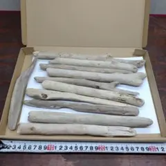 流木セットno.483