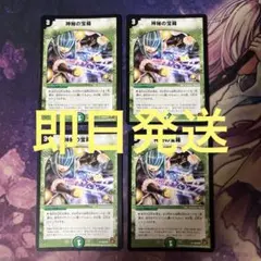 2025年最新】神秘の宝箱 プロモの人気アイテム - メルカリ