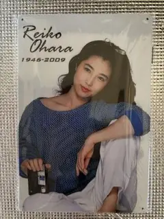 新品　大原麗子　オマージュアルミプレートブリキ看板①
