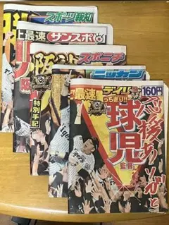 ☆2025年 阪神タイガース セリーグ優勝 スポーツ新聞5紙セット