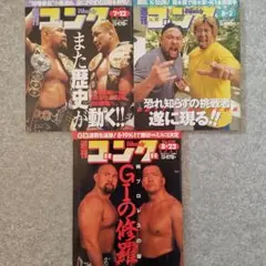 週刊ゴング３冊セット⑩