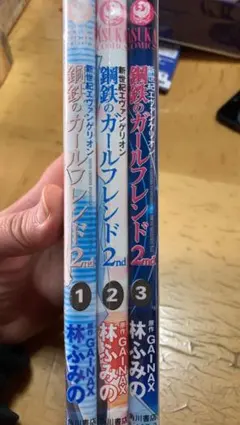 新世紀エヴァンゲリオン 鋼鉄のガールフレンド2nd ３巻セット 林ふみの