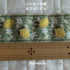 Item thumbnail for item bcfc1259-2ce5-43ff-bf96-517984529baf