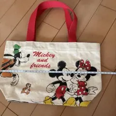 ディズニーバッグ