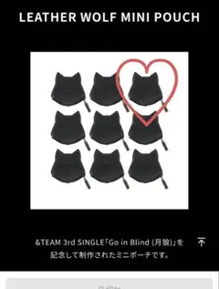 &TEAM Ｋ月狼 Go in Blind ポーチ
