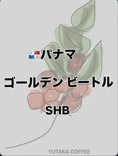 パナマ ゴールデンビートル SHBコーヒー豆（200g）