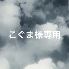こぐま様 リクエスト 2点 まとめ商品