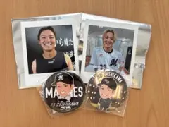 千葉ロッテマリーンズ 石川慎吾 グッズ