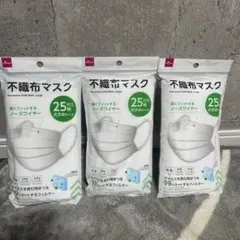 不織布マスク ラージサイズ 25枚入り