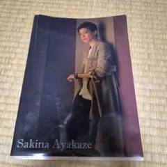 Item thumbnail for item 6c068081-6f58-4599-b6b2-bd197f9512e4