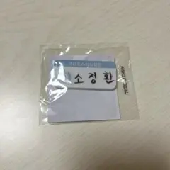 treasure ジョンファン カプセルトイ