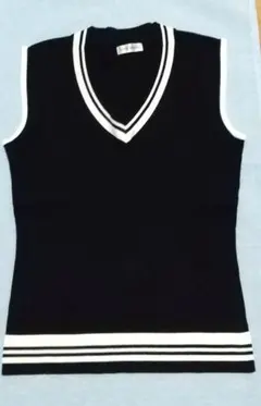 ★お値下げ Vネックベスト