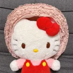 新品未使用　PINKHOUSE総ピコフリルベレー帽　ピコフリルハット 2025年最新】PINK HOUSE レディース ベレー帽の人気アイテム