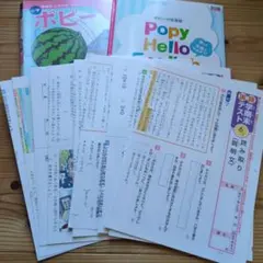 ポピー 3年 学習教材セット　最終価格