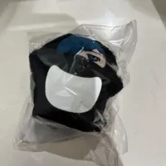 crazy raccoon フレンズ friends vanilLa バニラ