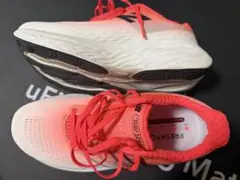 Fresh Foam X 1080 v14 2E 26.5cm