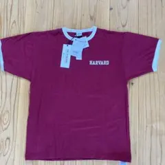 ★チョコチン★新品Champion Harvard University