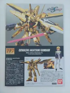 ガンプラ　オオワシアカツキガンダム　説明書のみ