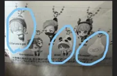 CRAZY RACCOON つまんでつなげてますこっと
