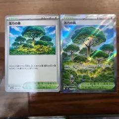 活力の森 SR 109/080 セット