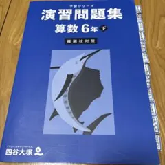 演習問題集 算数 6年 下　難関校対策