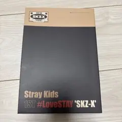 Stray Kids 1ST #LoveSTAY SKZ-X'フォトブックセット
