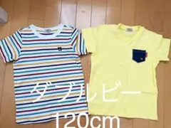 Tシャツ　ミキハウス ダブルビー　120cm 2枚セットボーダー無印黄色半袖