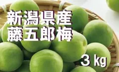 藤五郎梅 ラストセール！新潟県産 3kg 3780円◆梅干し 梅酒用のサムネイル