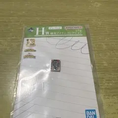 나의 히어로 아카데미아 이치방쿠지 H상 핀 배지 폭호