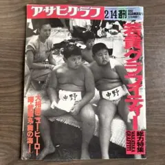 アサヒグラフ別冊 美術特集 1977年～1986年の不揃い20冊セット 1-1 アサヒグラフ別冊 美術特集 1977年～1986年の不揃い20冊セット 1-1