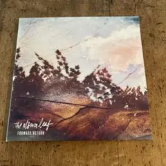 ALBUM LEAF『FORWARD／RETURN』2枚組
