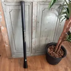 Item thumbnail for item fce100fe-d98a-423f-bd0c-d2bfed61e949