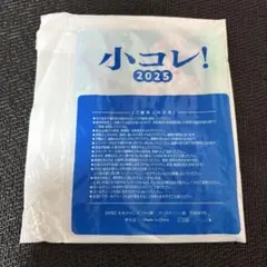 小コレ 2025 葬送のフリーレン　アウラ　スライダークリアポーチ