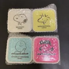 mini 2021年6月号付録　PEANUTS スヌーピー メラミントレー　4枚