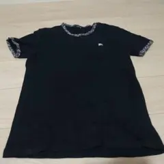 Item thumbnail for item 1a0f43e0-bcd8-4651-b2af-fe80e2f4c7db