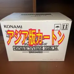 遊戯王　青き眼の光臨　マスターカートン　48個入り　新品未開封 遊戯王 青き眼の光臨 マスターカートン 48個入り 新品未開封
