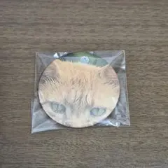 パペットスンスン シークレットクラフト缶バッチ