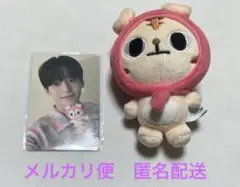 cravity ミニランモ ランモ ジョンモ ぬいぐるみ ミニドール トレカなし cravity ミニランモ ランモ ジョンモ ぬいぐるみ ミニドール トレカ