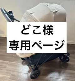 【どこ様 専用ページ】メリオカーボン 2024 ソルテベージュ