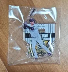 阪神タイガース