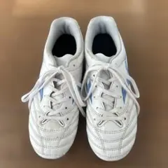 モナルシーダ 21.5