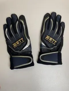 Item thumbnail for item 56a2731a-cef0-436d-bb9b-e07578f6faee