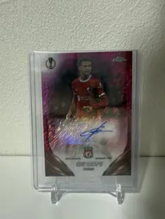 Cody Gakpo サイン入りカード 009/250