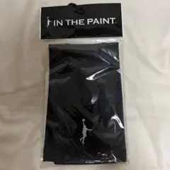 IN THE PAINT インザペイント アームサポーターブラック Lサイズ