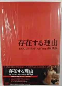 存在する理由 DOCUMENTARY of AKB48
