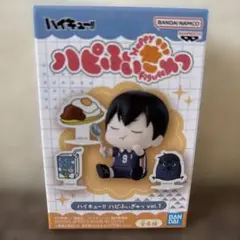 日向翔陽 アニメ