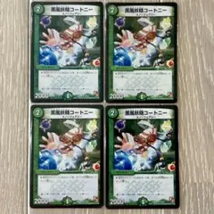 薫風妖精コートニー　4枚